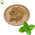 The Best Lemon Balm Extract Melissa Officinalis Extract